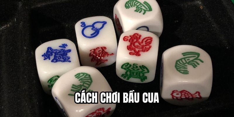 cách chơi bầu cua